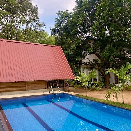 Habarana New Star Homestay المظهر الخارجي الصورة
