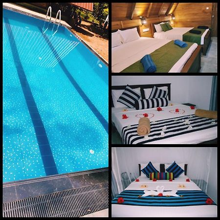 Habarana New Star Homestay المظهر الخارجي الصورة