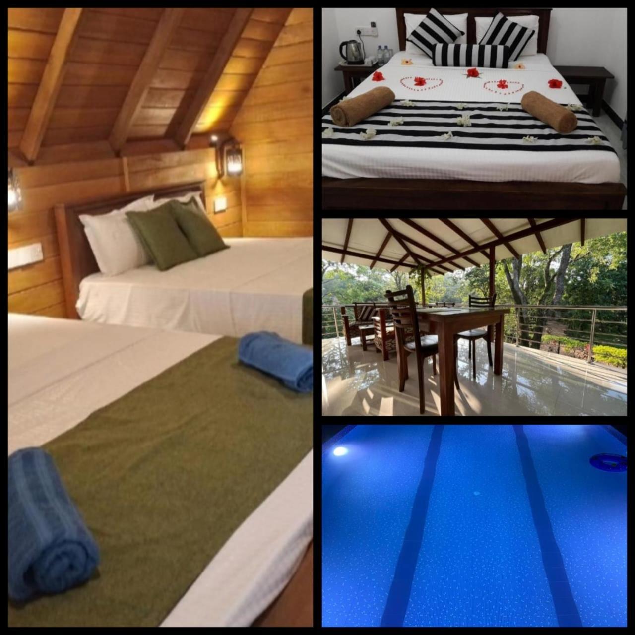 Habarana New Star Homestay المظهر الخارجي الصورة