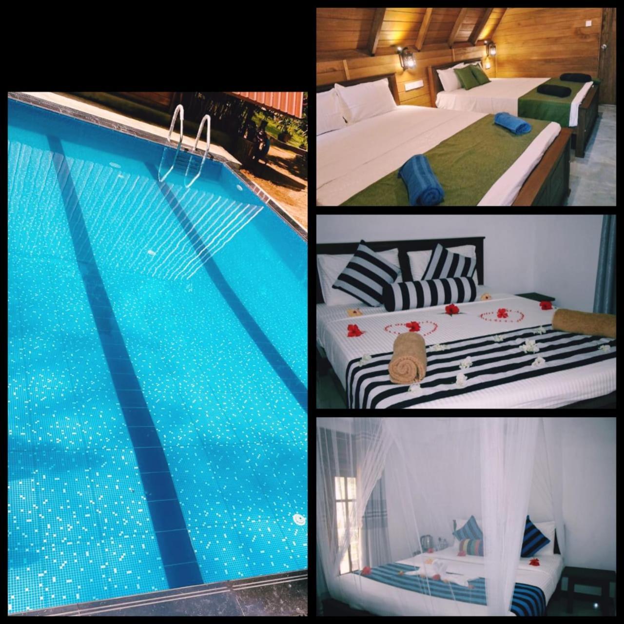 Habarana New Star Homestay المظهر الخارجي الصورة
