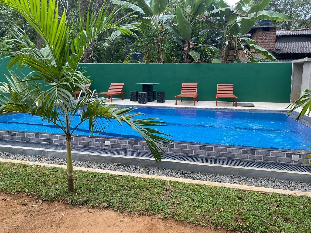 Habarana New Star Homestay المظهر الخارجي الصورة