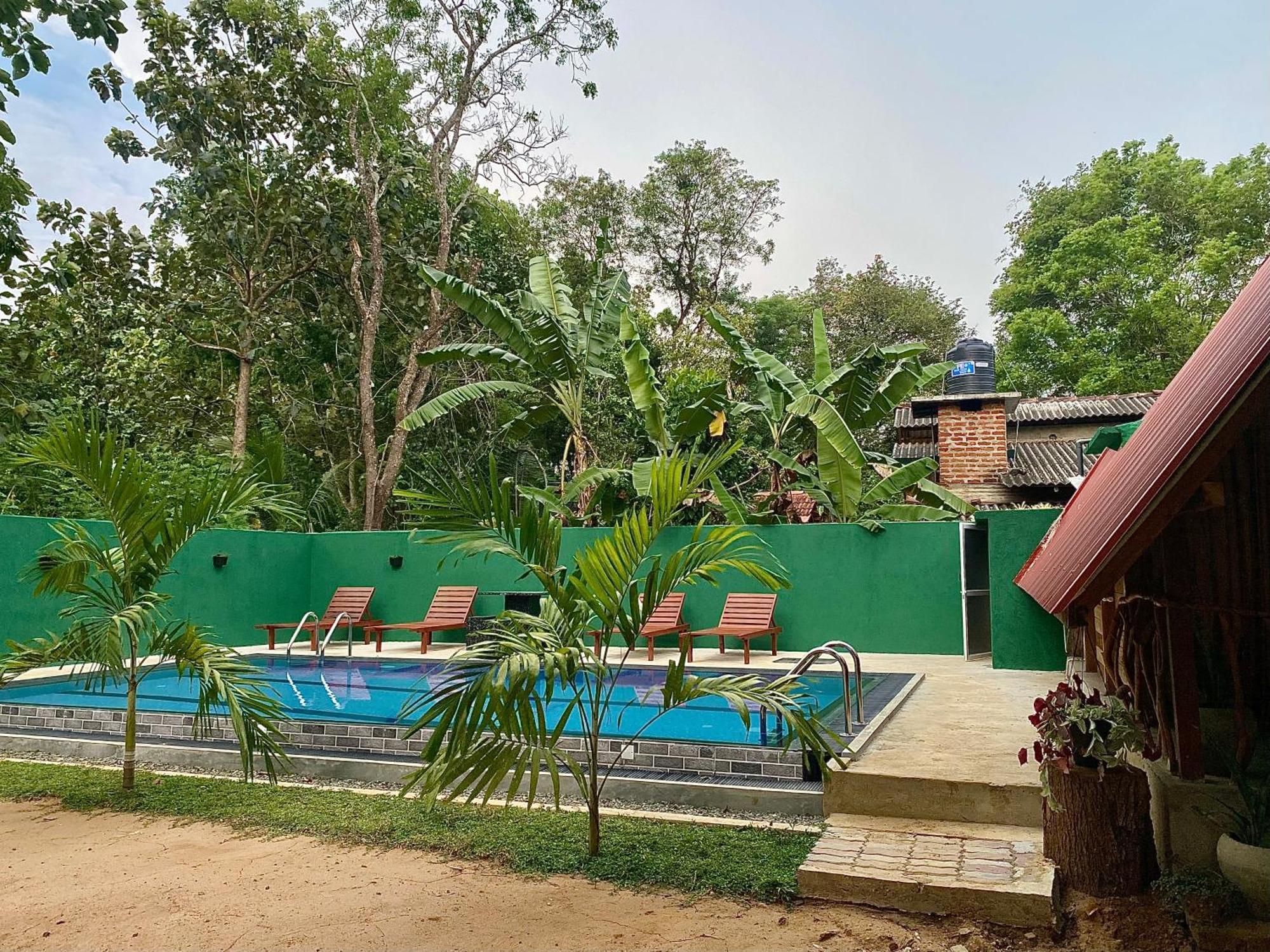 Habarana New Star Homestay المظهر الخارجي الصورة